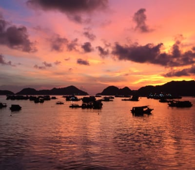 Top Instagram Accounts You Should Follow For Vietnam Travel Inspiration
